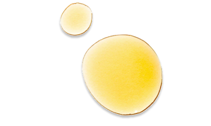 VITAMINA E